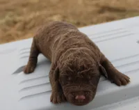 processed/3a884b3b-e035-4c31-9487-6dd4f369db1c/listing/718fa80f-591b-4741-beee-7de028774897/6b363493-b574-401d-be40-7a1e37430009