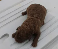 processed/3a884b3b-e035-4c31-9487-6dd4f369db1c/listing/718fa80f-591b-4741-beee-7de028774897/c9a4984b-f7c6-49d1-9248-dbf2aaea0d88