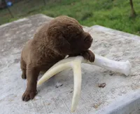 processed/3a884b3b-e035-4c31-9487-6dd4f369db1c/listing/76efb195-0ba6-48db-aeab-a3dc72c60bf6/010a094e-c37e-43d6-87d3-6a3afd7d5376