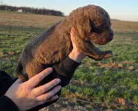 processed/3a884b3b-e035-4c31-9487-6dd4f369db1c/listing/76efb195-0ba6-48db-aeab-a3dc72c60bf6/6195c124-dbf6-46d1-83c5-4be1d4e0bc6e