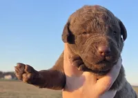 processed/3a884b3b-e035-4c31-9487-6dd4f369db1c/listing/76efb195-0ba6-48db-aeab-a3dc72c60bf6/89fac182-8ef3-43dc-9c50-e5692c524261