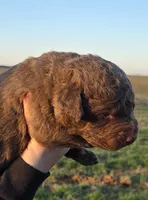 processed/3a884b3b-e035-4c31-9487-6dd4f369db1c/listing/76efb195-0ba6-48db-aeab-a3dc72c60bf6/9814b83e-703a-4552-97ee-9caa305f03aa