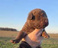 processed/3a884b3b-e035-4c31-9487-6dd4f369db1c/listing/76efb195-0ba6-48db-aeab-a3dc72c60bf6/9d7b71aa-64c9-415c-85c5-27c44aadd048