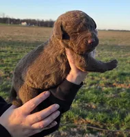 processed/3a884b3b-e035-4c31-9487-6dd4f369db1c/listing/76efb195-0ba6-48db-aeab-a3dc72c60bf6/f4c9ff6f-2a78-4e17-a448-f89c0b6e6655