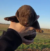 processed/3a884b3b-e035-4c31-9487-6dd4f369db1c/listing/8a9fdd9b-81a1-44fc-9b36-a46faa8e729a/341e9697-4162-4b0f-9b4c-77cb2242b481