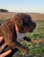 processed/3a884b3b-e035-4c31-9487-6dd4f369db1c/listing/8a9fdd9b-81a1-44fc-9b36-a46faa8e729a/5b62561a-12a2-4199-94e8-baf1bb62788d