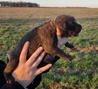 processed/3a884b3b-e035-4c31-9487-6dd4f369db1c/listing/8a9fdd9b-81a1-44fc-9b36-a46faa8e729a/658376d9-2388-48c1-a419-693afc4be0c1