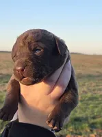 processed/3a884b3b-e035-4c31-9487-6dd4f369db1c/listing/8a9fdd9b-81a1-44fc-9b36-a46faa8e729a/ab422da7-fd69-4adc-980d-bb08bdbe1cc8