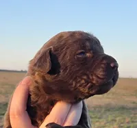 processed/3a884b3b-e035-4c31-9487-6dd4f369db1c/listing/8a9fdd9b-81a1-44fc-9b36-a46faa8e729a/c70a8690-aa4d-4f0d-bb35-1c815ce7581b