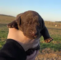 processed/3a884b3b-e035-4c31-9487-6dd4f369db1c/listing/98d865ea-1a07-41ff-b7f7-e40f95b0be5d/134f9821-d17a-448c-8b20-0b677e5a5ebe