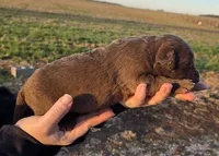 processed/3a884b3b-e035-4c31-9487-6dd4f369db1c/listing/98d865ea-1a07-41ff-b7f7-e40f95b0be5d/593f4a9f-33de-4986-a43a-589fde3f3a0d