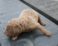 processed/3a884b3b-e035-4c31-9487-6dd4f369db1c/listing/9f5c0fcc-fb2f-4dea-af2a-dbe4c0373cf2/05f79289-7eae-4b75-b7f7-303cf2d0b466