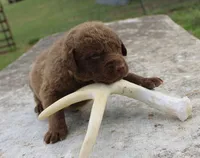 processed/3a884b3b-e035-4c31-9487-6dd4f369db1c/listing/9f5c0fcc-fb2f-4dea-af2a-dbe4c0373cf2/21688ac3-4a69-4353-b3a4-2ae257fa9898