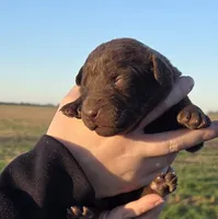 processed/3a884b3b-e035-4c31-9487-6dd4f369db1c/listing/9f5c0fcc-fb2f-4dea-af2a-dbe4c0373cf2/85bf6d08-5f68-4677-8eea-62740d90a810