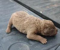 processed/3a884b3b-e035-4c31-9487-6dd4f369db1c/listing/9f5c0fcc-fb2f-4dea-af2a-dbe4c0373cf2/8b2d057b-3569-478e-8840-e89f6e5efe89