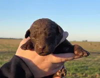 processed/3a884b3b-e035-4c31-9487-6dd4f369db1c/listing/9f5c0fcc-fb2f-4dea-af2a-dbe4c0373cf2/a1650424-1a7e-4931-b912-60b28a4d93f9