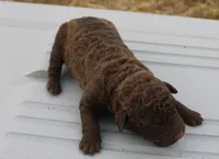 processed/3a884b3b-e035-4c31-9487-6dd4f369db1c/listing/9fd5117a-d5c8-4554-b2cd-08af4e602860/a4a645f2-a488-415f-b279-8d4c1444b57a