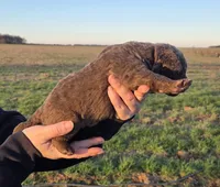 processed/3a884b3b-e035-4c31-9487-6dd4f369db1c/listing/a4136117-9d12-43db-b5b4-b826c0625843/2b8b67d1-e745-4e43-b28a-9b2638e67b6b