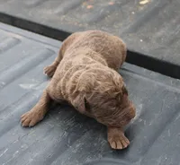 processed/3a884b3b-e035-4c31-9487-6dd4f369db1c/listing/a4136117-9d12-43db-b5b4-b826c0625843/92b56aef-c14d-441a-bec3-f71d1764663f