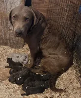 processed/3a884b3b-e035-4c31-9487-6dd4f369db1c/listing/a4136117-9d12-43db-b5b4-b826c0625843/944ccfb0-800a-4915-9064-04fa6d995134