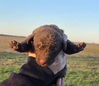 processed/3a884b3b-e035-4c31-9487-6dd4f369db1c/listing/a4136117-9d12-43db-b5b4-b826c0625843/d293d2e6-a600-4e52-a3c1-2117e07cd549