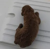 processed/3a884b3b-e035-4c31-9487-6dd4f369db1c/listing/a87e003c-eb7e-421a-a9bf-c488b518a320/de4bb636-7f54-48d8-97ff-ab486f8f5bba