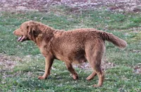 processed/3a884b3b-e035-4c31-9487-6dd4f369db1c/listing/b2f638ae-0e6a-429d-bdba-878d75b79945/7596e3c6-fe8b-4500-adca-adcf4807f8ee