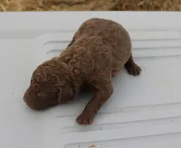 processed/3a884b3b-e035-4c31-9487-6dd4f369db1c/listing/b2f638ae-0e6a-429d-bdba-878d75b79945/e4668e85-f171-411a-832e-64a433c8a93d