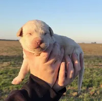 processed/3a884b3b-e035-4c31-9487-6dd4f369db1c/listing/c0fd5712-b5d4-4e62-9348-e722a49d3459/0b39a192-e49a-4ca8-8166-10b801581974