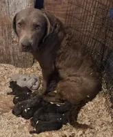 processed/3a884b3b-e035-4c31-9487-6dd4f369db1c/listing/c0fd5712-b5d4-4e62-9348-e722a49d3459/394e6f0f-a389-4e12-899b-a79fa05298c4