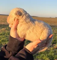 processed/3a884b3b-e035-4c31-9487-6dd4f369db1c/listing/c0fd5712-b5d4-4e62-9348-e722a49d3459/4c0e0852-9150-4ca6-ae41-66cc5e4610f6