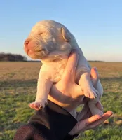 processed/3a884b3b-e035-4c31-9487-6dd4f369db1c/listing/c0fd5712-b5d4-4e62-9348-e722a49d3459/6c4bc34e-098c-4ca2-8a0f-bdbde37abfc9