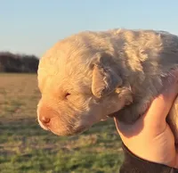 processed/3a884b3b-e035-4c31-9487-6dd4f369db1c/listing/c0fd5712-b5d4-4e62-9348-e722a49d3459/aeacf897-c830-4cee-8a39-15926df5d9ad