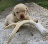 processed/3a884b3b-e035-4c31-9487-6dd4f369db1c/listing/c0fd5712-b5d4-4e62-9348-e722a49d3459/b58491ce-3eee-45ef-96ae-cd69582a6f55