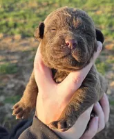 processed/3a884b3b-e035-4c31-9487-6dd4f369db1c/listing/cbbe89c0-41dc-4479-9b07-c3e712358cf7/0522566f-dc50-48f4-a648-ca068bc1823b