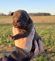 processed/3a884b3b-e035-4c31-9487-6dd4f369db1c/listing/cbbe89c0-41dc-4479-9b07-c3e712358cf7/4a59cd7d-0ffa-408c-81eb-40fc1167c01a