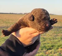 processed/3a884b3b-e035-4c31-9487-6dd4f369db1c/listing/cbbe89c0-41dc-4479-9b07-c3e712358cf7/578d43e0-7e3f-465d-895f-6e2861eafc80