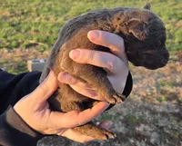 processed/3a884b3b-e035-4c31-9487-6dd4f369db1c/listing/cbbe89c0-41dc-4479-9b07-c3e712358cf7/dd943f5e-f636-4540-a0cc-a4d12806fadc