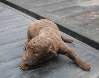 processed/3a884b3b-e035-4c31-9487-6dd4f369db1c/listing/dc13c7df-af34-4e28-9673-a8fd30137b4b/34689327-ba54-436f-9d3b-c995b7b93431