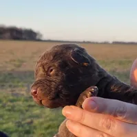 processed/3a884b3b-e035-4c31-9487-6dd4f369db1c/listing/dc13c7df-af34-4e28-9673-a8fd30137b4b/656e06b1-2aeb-4233-ae86-55e35802d9e7