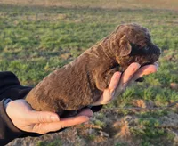 processed/3a884b3b-e035-4c31-9487-6dd4f369db1c/listing/dc13c7df-af34-4e28-9673-a8fd30137b4b/8325c230-93dc-4fc4-9da5-3a5a1c6069db