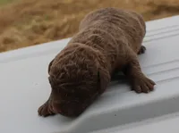 processed/3a884b3b-e035-4c31-9487-6dd4f369db1c/listing/ec0833e2-cd9d-4db1-bffe-0f506a941aee/43c701a5-46b3-402c-84ac-c00b60dbc825