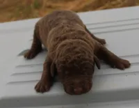 processed/3a884b3b-e035-4c31-9487-6dd4f369db1c/listing/f644b52c-99d2-4df6-8ec5-a4bb11e544c5/7c14d71e-b229-4829-8e7c-cf30724b81e9