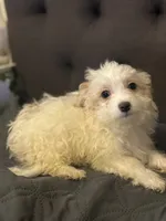 processed/3a8fbdeb-354d-4697-8341-be3064be0661/listing/ca5a1fd5-2144-43bf-8fef-2695038d1406/4e11b9d0-d4fa-4692-9366-ef96acc928a2