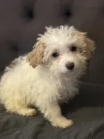 processed/3a8fbdeb-354d-4697-8341-be3064be0661/listing/ca5a1fd5-2144-43bf-8fef-2695038d1406/8dc9e15f-e8e6-4a3d-868a-73dfda18bdd2