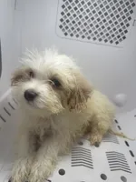 processed/3a8fbdeb-354d-4697-8341-be3064be0661/listing/ca5a1fd5-2144-43bf-8fef-2695038d1406/c211357b-37a3-47ad-89d7-522095d084d1