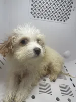 processed/3a8fbdeb-354d-4697-8341-be3064be0661/listing/ca5a1fd5-2144-43bf-8fef-2695038d1406/c5e515fd-4a2e-4368-baa9-88bfdd142614