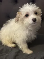 processed/3a8fbdeb-354d-4697-8341-be3064be0661/listing/ca5a1fd5-2144-43bf-8fef-2695038d1406/db897c79-1eac-4288-b0f1-cadcbb018d7b