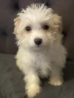 processed/3a8fbdeb-354d-4697-8341-be3064be0661/listing/ca5a1fd5-2144-43bf-8fef-2695038d1406/fb28c27c-3440-414e-9b05-864ba92c6043