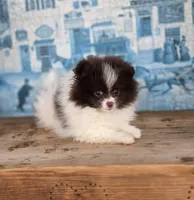 processed/3aa21ac8-882d-4049-817b-0c1b6a5b8b90/listing/0e4dcd70-6b7e-4245-a874-a6f56576d2a5/1fda9d6f-04b4-4718-bb9a-ae0cbbb7dbee